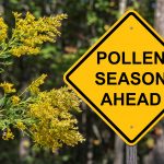 Spring Allergy Season is Here: Tips on Prevention and Treatment