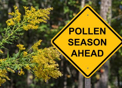 Spring Allergy Season is Here
